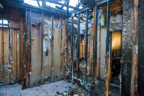 Professional Fire Damage Removal technician working in Audubon, PA